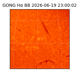 gong - 2026-06-19T23:00:02