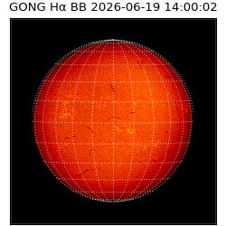 gong - 2026-06-19T14:00:02