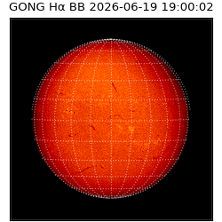 gong - 2026-06-19T19:00:02