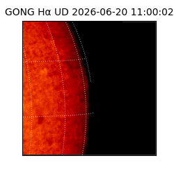 gong - 2026-06-20T11:00:02