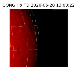 gong - 2026-06-20T13:00:22