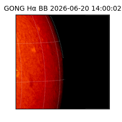 gong - 2026-06-20T14:00:02