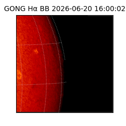 gong - 2026-06-20T16:00:02