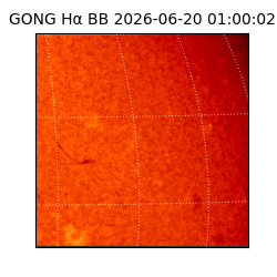 gong - 2026-06-20T01:00:02