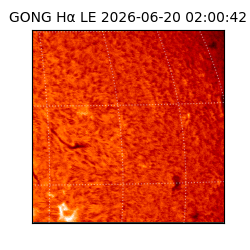 gong - 2026-06-20T02:00:42