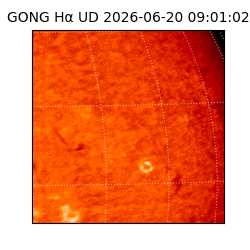 gong - 2026-06-20T09:01:02