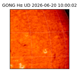 gong - 2026-06-20T10:00:02