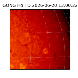 gong - 2026-06-20T13:00:22