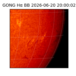 gong - 2026-06-20T20:00:02