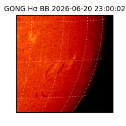gong - 2026-06-20T23:00:02