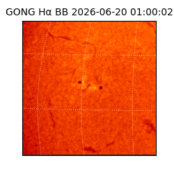 gong - 2026-06-20T01:00:02