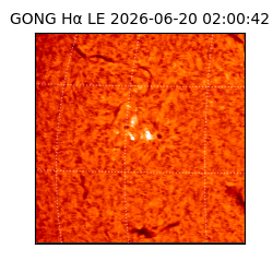 gong - 2026-06-20T02:00:42