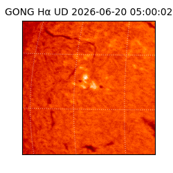 gong - 2026-06-20T05:00:02