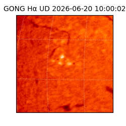 gong - 2026-06-20T10:00:02