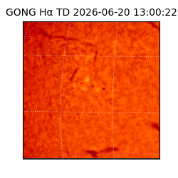 gong - 2026-06-20T13:00:22