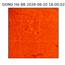 gong - 2026-06-20T16:00:02