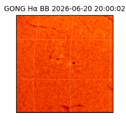 gong - 2026-06-20T20:00:02