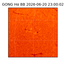 gong - 2026-06-20T23:00:02