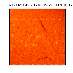 gong - 2026-06-20T01:00:02