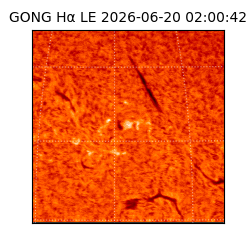 gong - 2026-06-20T02:00:42