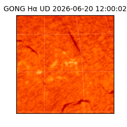 gong - 2026-06-20T12:00:02