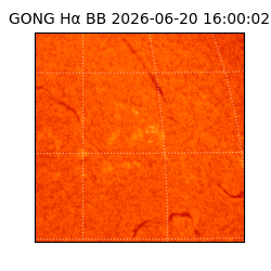 gong - 2026-06-20T16:00:02