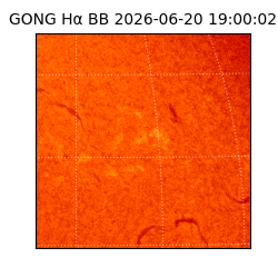 gong - 2026-06-20T19:00:02