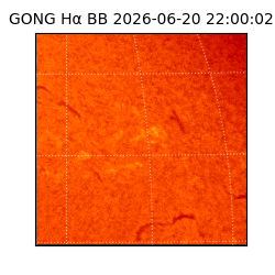 gong - 2026-06-20T22:00:02