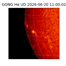gong - 2026-06-20T11:00:02