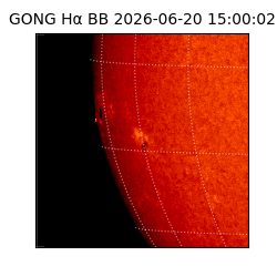 gong - 2026-06-20T15:00:02