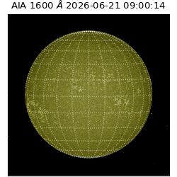 saia - 2026-06-21T09:00:14.123000