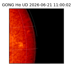 gong - 2026-06-21T11:00:02