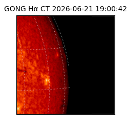 gong - 2026-06-21T19:00:42