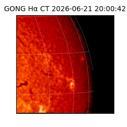 gong - 2026-06-21T20:00:42