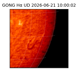 gong - 2026-06-21T10:00:02