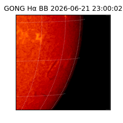 gong - 2026-06-21T23:00:02