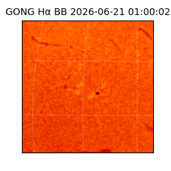 gong - 2026-06-21T01:00:02