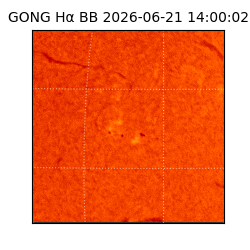 gong - 2026-06-21T14:00:02
