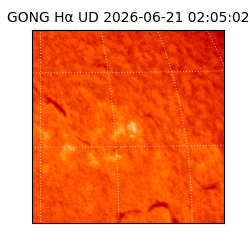 gong - 2026-06-21T02:05:02