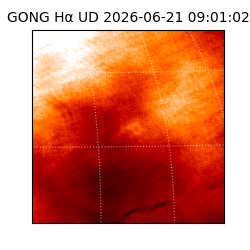 gong - 2026-06-21T09:01:02