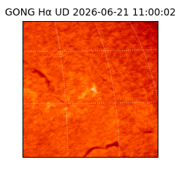 gong - 2026-06-21T11:00:02