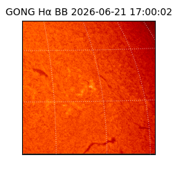 gong - 2026-06-21T17:00:02