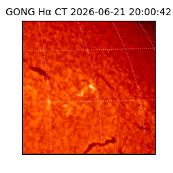 gong - 2026-06-21T20:00:42