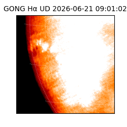 gong - 2026-06-21T09:01:02