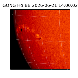 gong - 2026-06-21T14:00:02