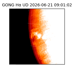 gong - 2026-06-21T09:01:02
