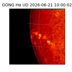 gong - 2026-06-21T10:00:02