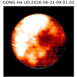 gong - 2026-06-21T09:01:02