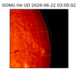 gong - 2026-06-22T03:00:02