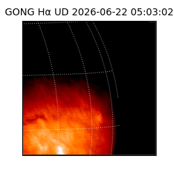 gong - 2026-06-22T05:03:02